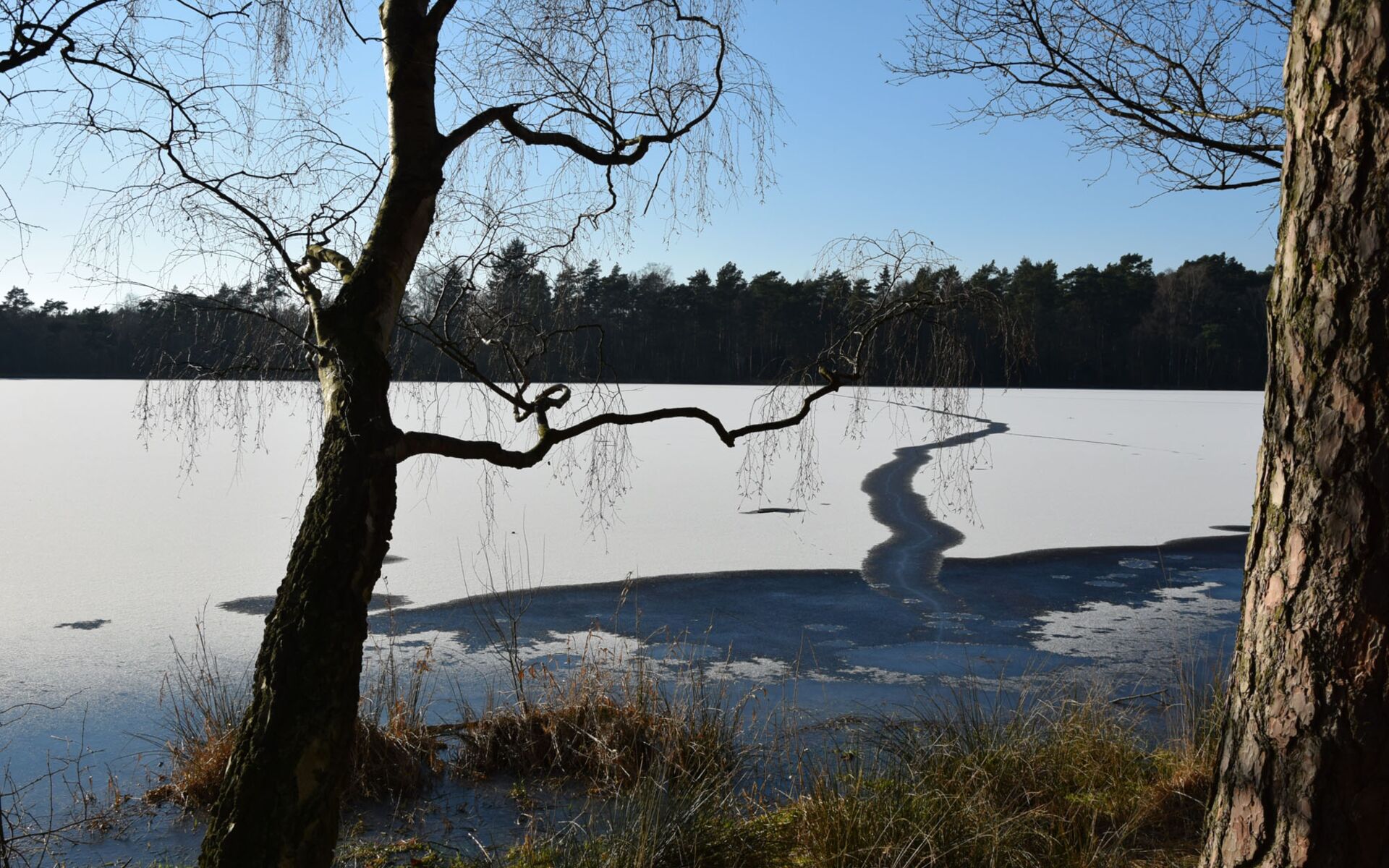 Bullensee im Winter, Foto: Helga Hamelberg, Bothel
